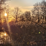 Führung Weißer Bogen