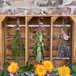 Workshop: Frühlingskräuter