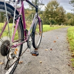 Exkursion: Unterwegs mit dem Rad in Wald & Heide