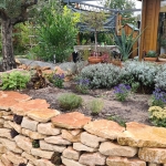 Vortrag: Ökosystem Natursteinmauer - Tipps zur Anlage für Einsteiger:innen