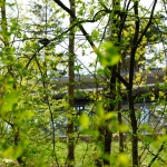 Der Kölner Stadtwald - Geschichte und Natur erleben