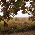 Exkursion: Schnepfenbalz in der Wahner Heide