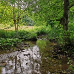 Spaß und Lernen im Wald