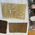 Workshop: Pilzpapierwerkstatt - Natur zum Anfassen und Gestalten
